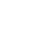home button